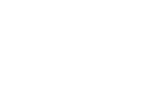 logo light